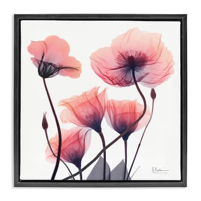 Stupell Elegant Modern Poppy Buds Framed Floater Canvas Wall Art Design By Albert Koetsier