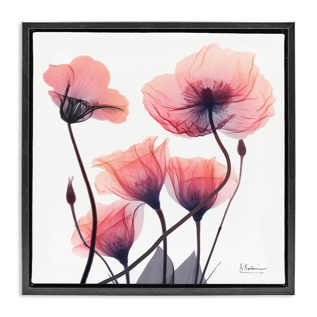 Stupell Elegant Modern Poppy Buds Framed Floater Canvas Wall Art Design By Albert Koetsier