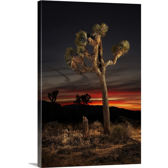 Shop Joshua Tree At Sunset Canvas Wall Art Free Shipping Today