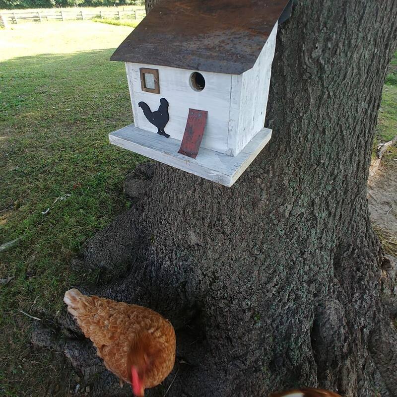 Home Bazaar 10" x 8" x 10" Cumberland Chicken Coop Birdhouse- rustic materials - 10"x10"x8"