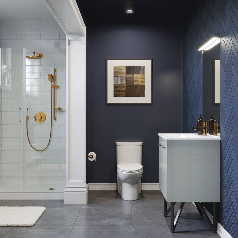 Swiss Madison Sublime One Piece Elongated Toilet Dual Flush 0.8/1.28 gpf