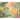 Brewster Origin Murals Pretty Palms Multicolor Wall Mural