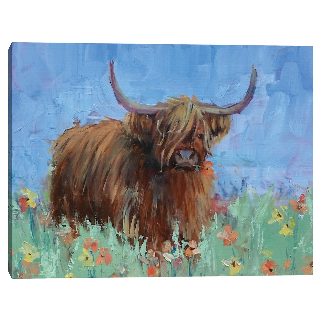 Scottish Highland Cow by Jennifer Stottle Taylor Canvas Art Print