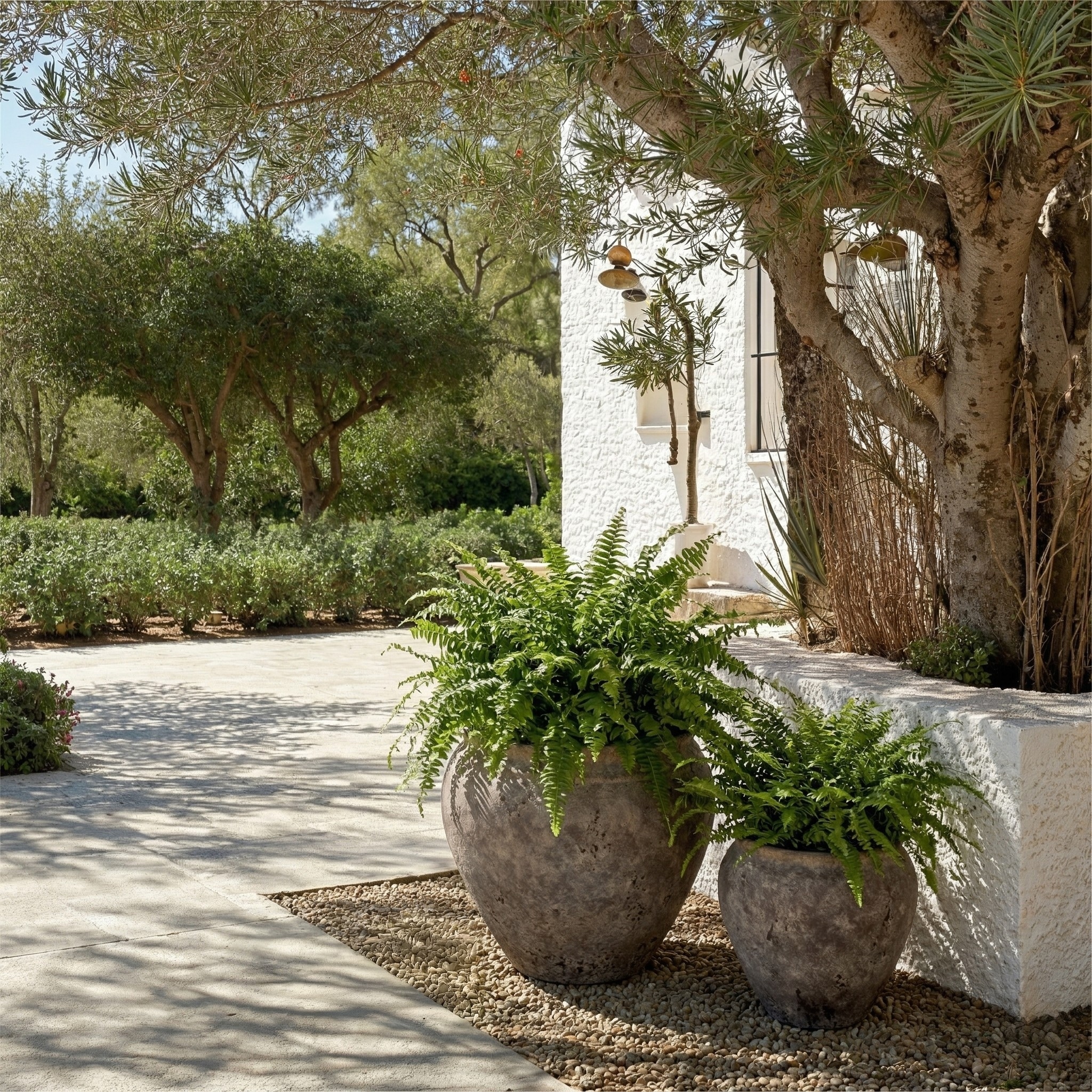On Sale Planter Pots - Bed Bath & Beyond