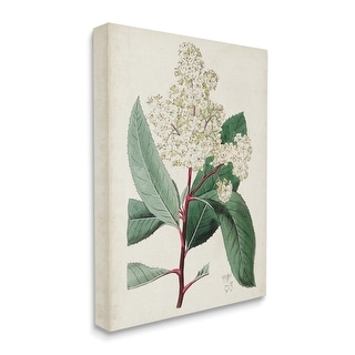 Stupell Vintage Garden Study Red Stem Floral Plant Canvas Wall Art ...
