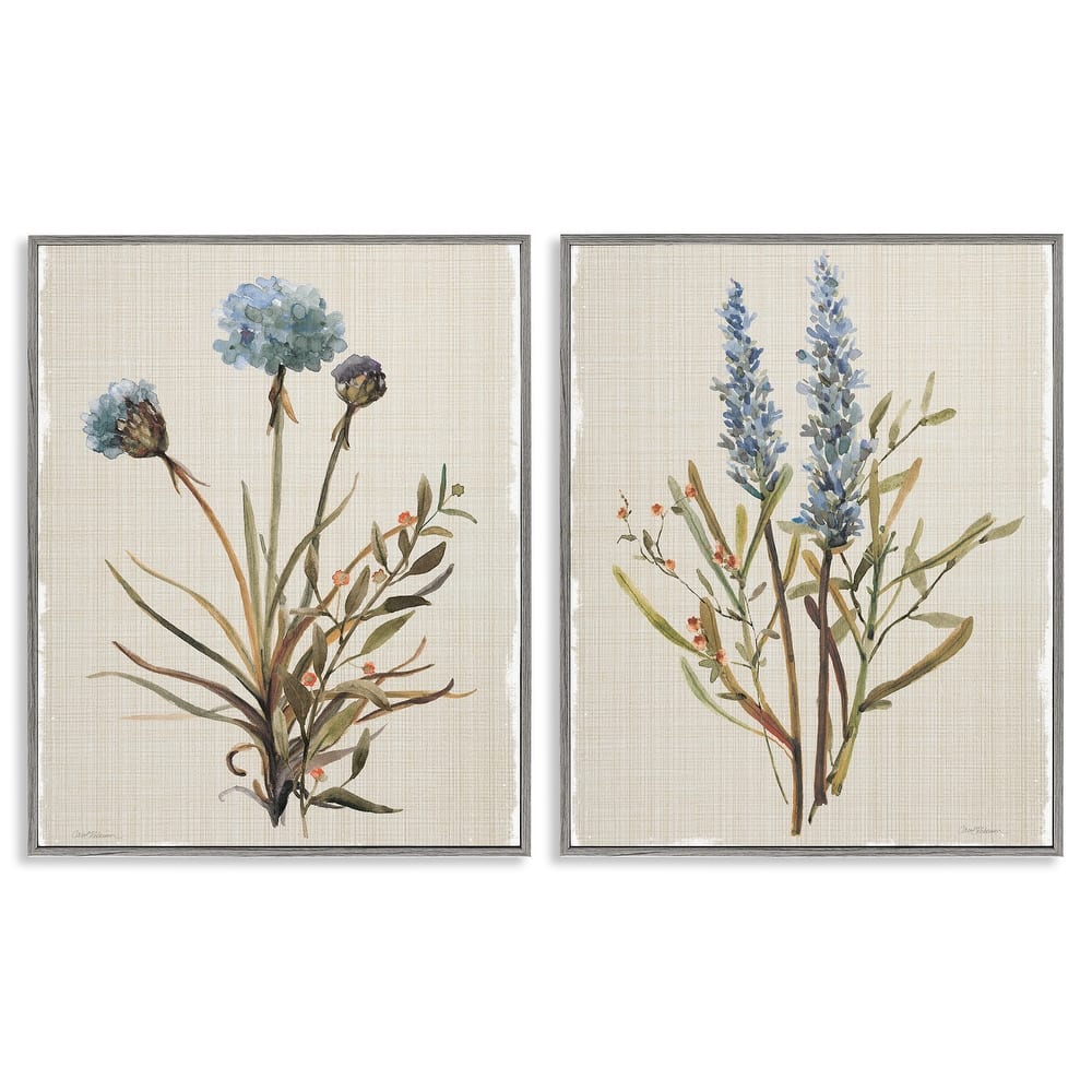 Stupell Natural Budding Blooms Framed Giclee Art Design By Carol Robinson (Set of 2)