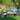 Gymax 4PCS Patio Outdoor Rattan Furniture Set Chair Loveseat Table