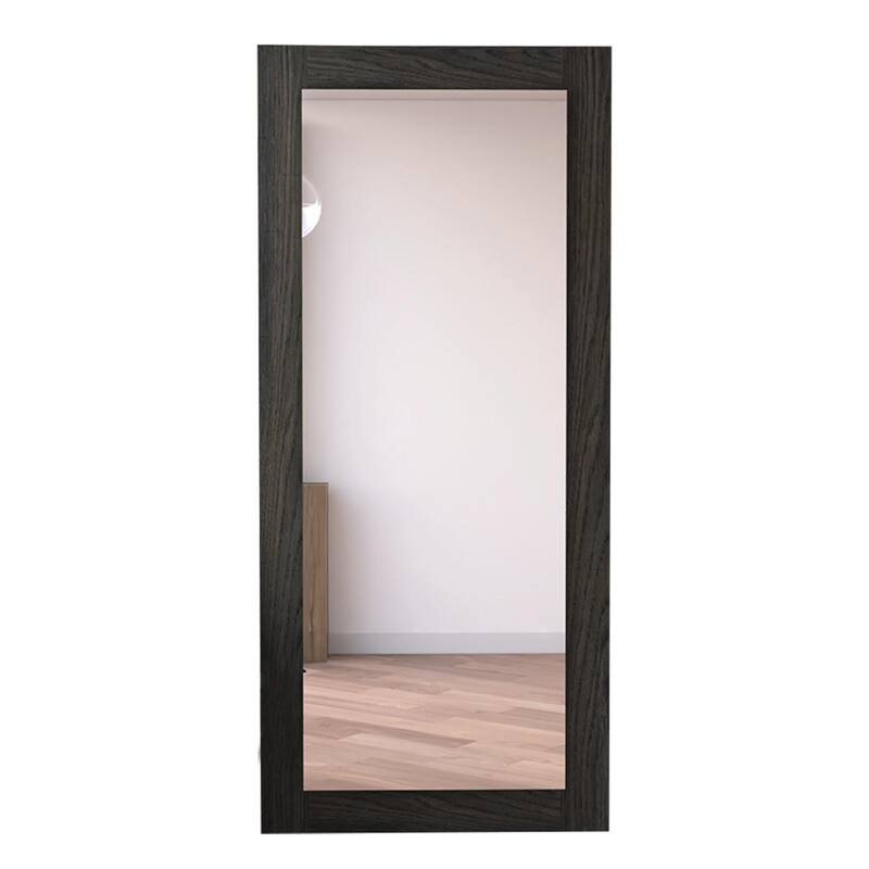 TUHOME Marsala 62.5-Inch High Rectangular Mirror