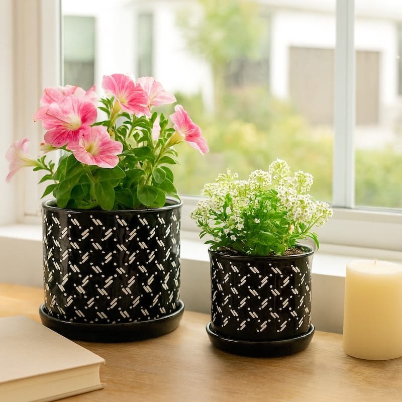 Ceramic Dots Saucer Planters Set of 2 - Black, 6/8 in.