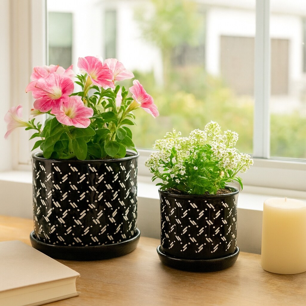 Ceramic Dots Saucer Planters Set of 2 - Black, 6/8 in. - On Sale