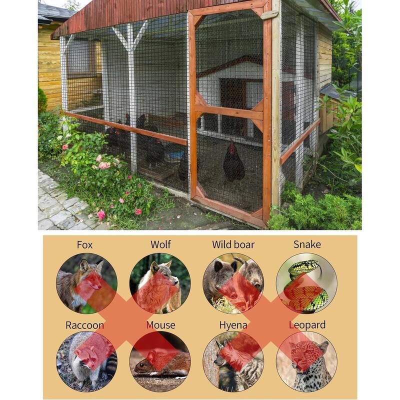 Vinyl Coated and Galvanized Alloy Steel Wire Mesh Roll