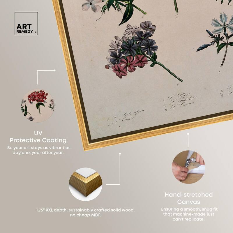 Seven Flowering Plants Canvas by Art Remedy