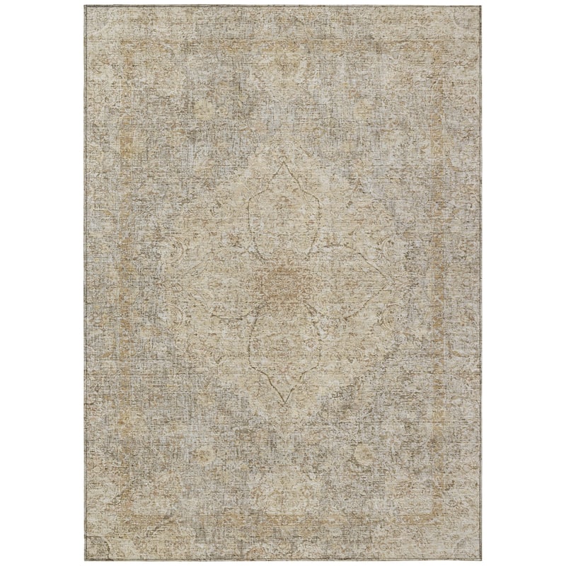 Machine Washable Indoor/Outdoor Traditional Global Chantille Rug