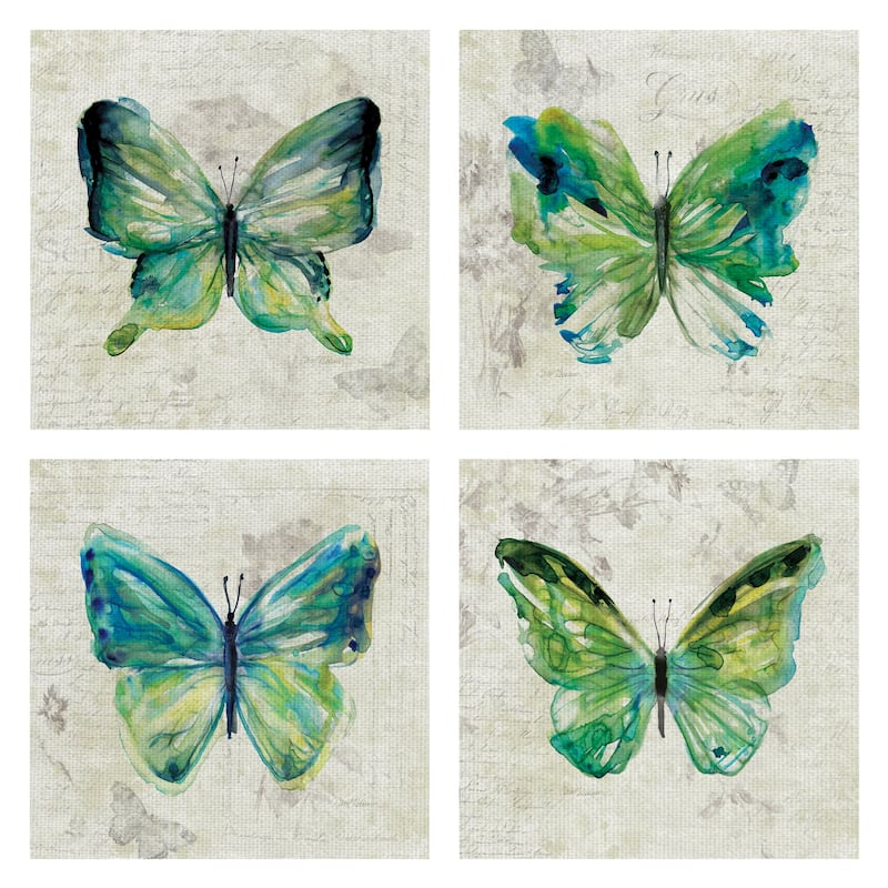 Butterfly Sketch I, II, III, IV by Carol Robinson Canvas Art Prints