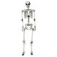 5.4ft Halloween Skeleton Life Size Realistic Full Body Hanging - Bed ...