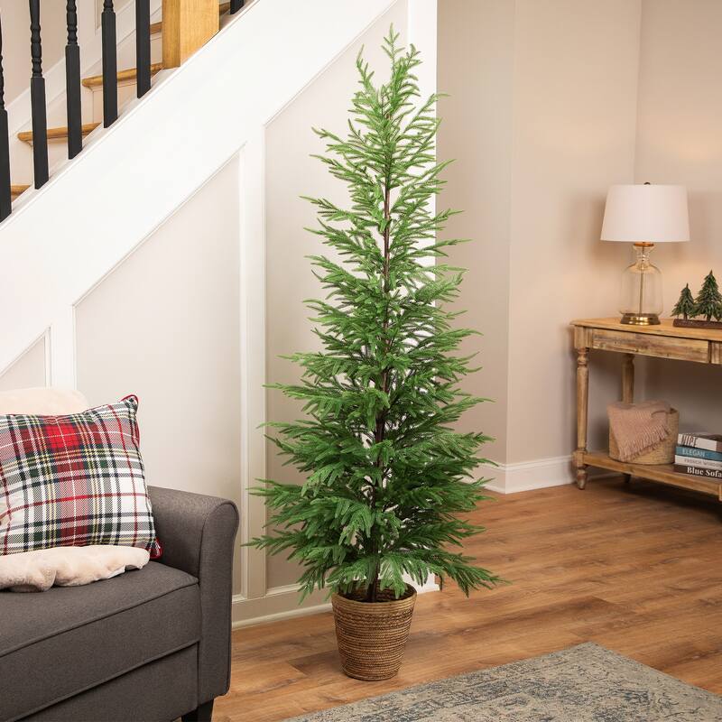 Medium Norfolk Pine Artificial Potted Christmas Tree - 6 Foot