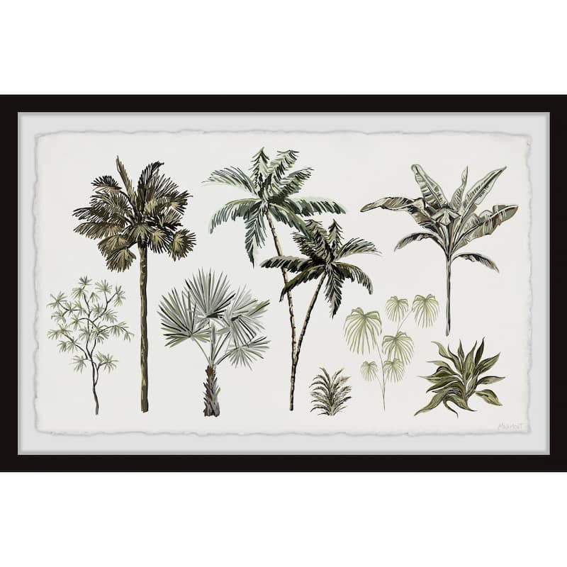 Tropical Palms Framed Print