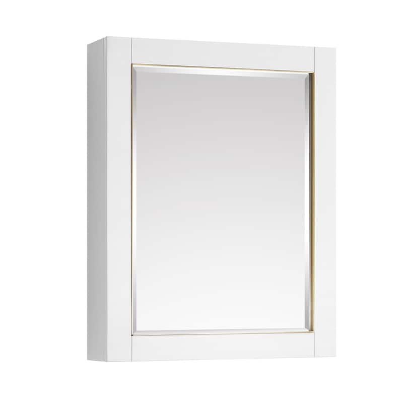 Avanity 22 in. Allie Mirror Cabinet - 22"W x 28"H