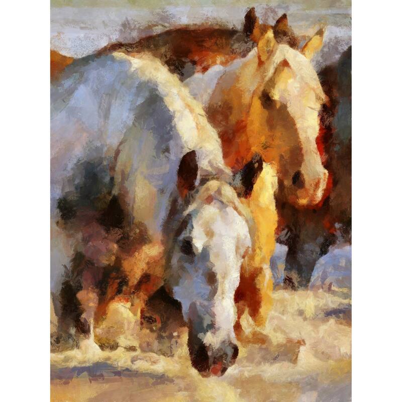 Fine Art Studio LLC Shallow Water by R. Bolokofsky