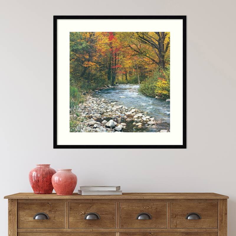 Forest Creek I Framed Art Print