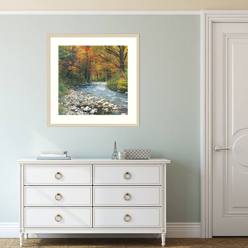 Forest Creek I Framed Art Print
