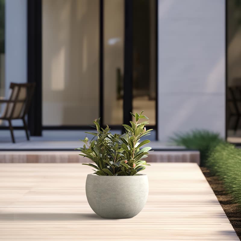 Tall Concrete Round Plant Pots / Large Indoor and Outdoor flower Planters
