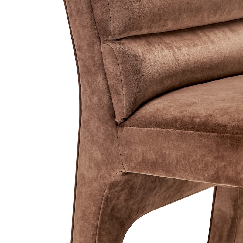 NPD Furniture Josie Velvet Dining Side Chair (Set of 2)