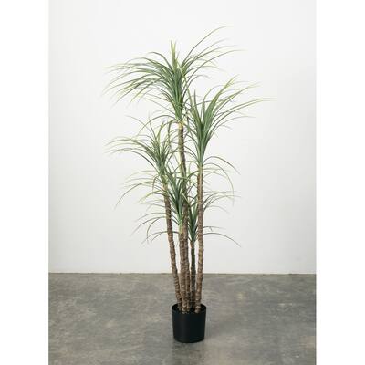 Sullivans Artificial Maguey Tree 67.5"H Green - 34"L x 32"W x 5' 7.5"H