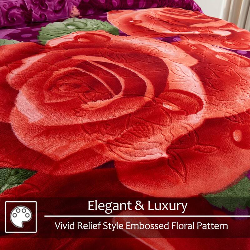 Raschel A&B Printed 2-ply Reversible Korean-style Plush Fleece Blanket