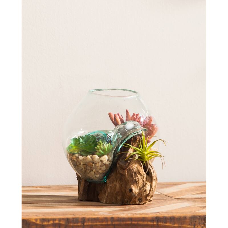 Small Glass Planter on Driftwood