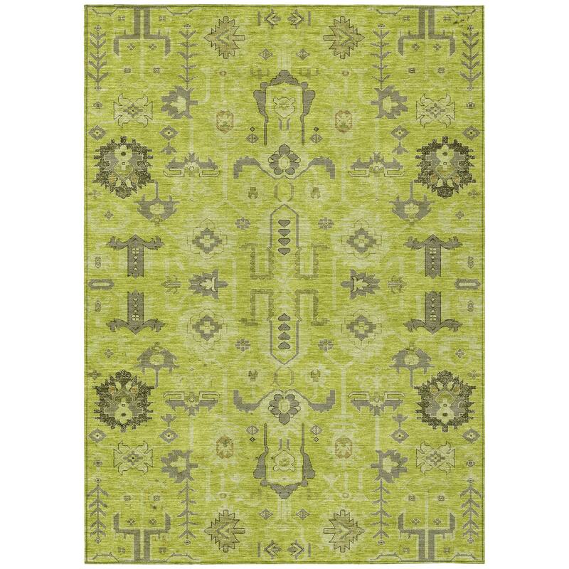 HomeRoots Oriental Traditional Rectangle Outdoor Rug