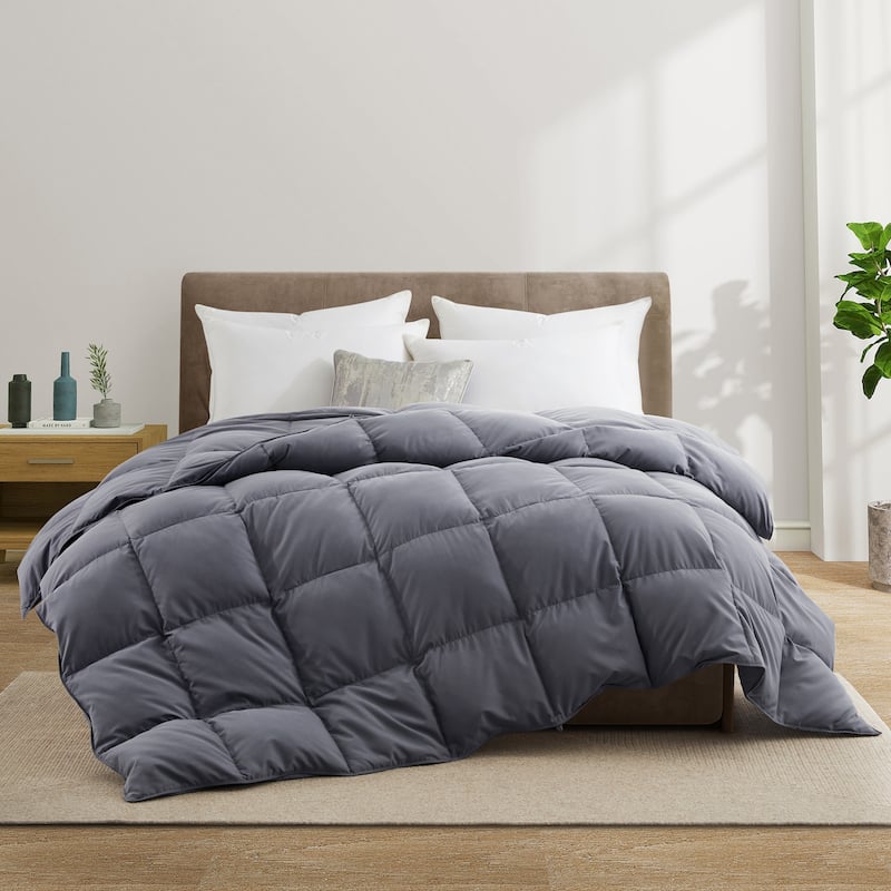 Medium Warmth All Season Paisley Floral & Solid Pattern Duvet Insert White Goose Down Feather Comforter