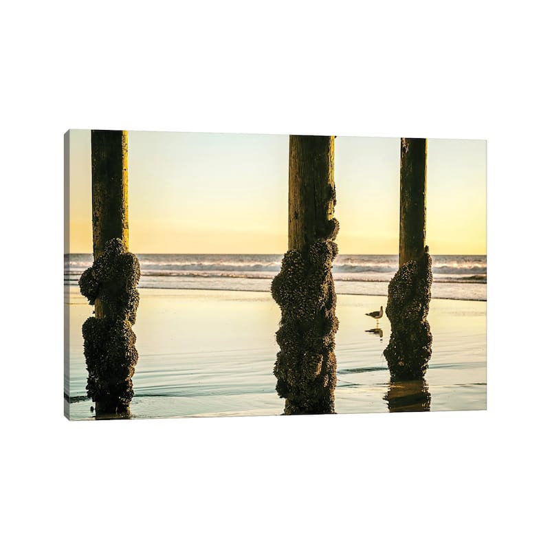 iCanvas "Barnacled Summer" by Joseph S. Giacalone Canvas Print