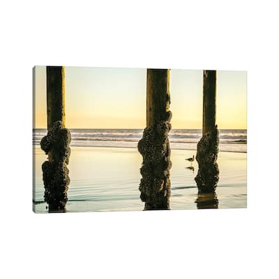 iCanvas "Barnacled Summer" by Joseph S. Giacalone Canvas Print