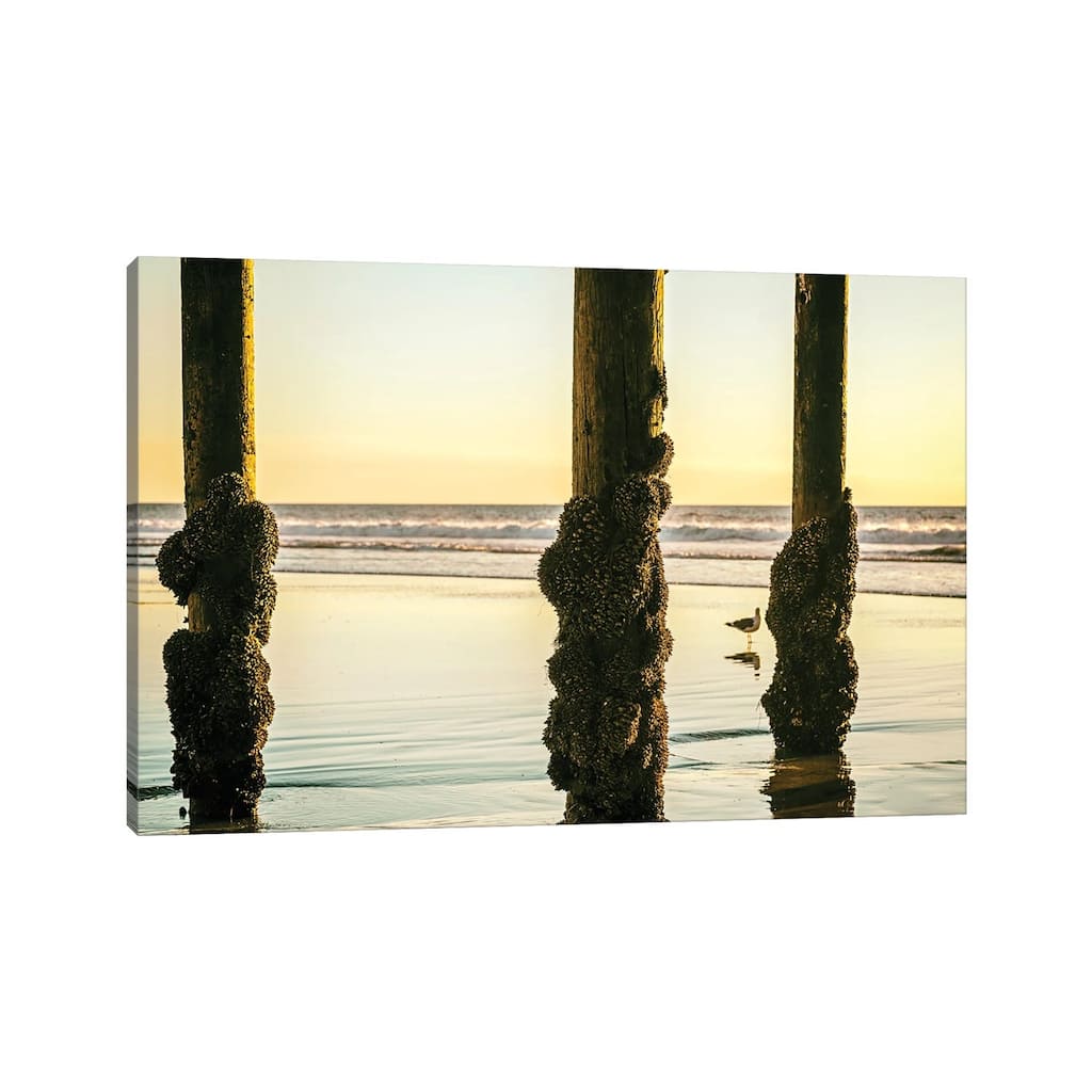 iCanvas "Barnacled Summer" by Joseph S. Giacalone Canvas Print