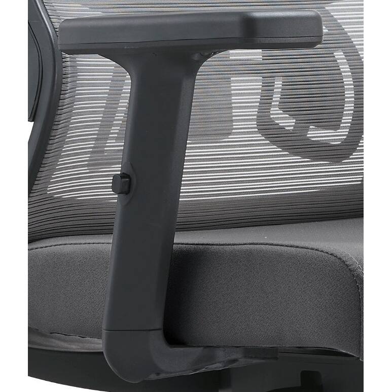 Dale Mesh Back Ergonomic Office Chair with Adjustable Height/Arms Cotton Padded Seat Tilt Swivel for Home Office or Conference