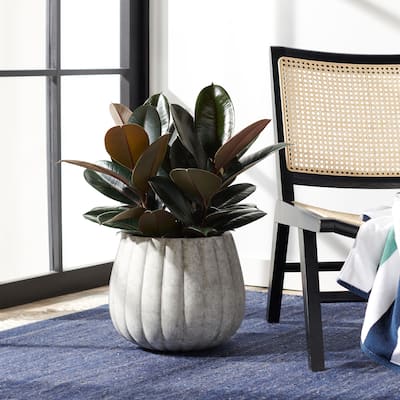 SAFAVIEH Outdoor Kaston Concrete Planter - 14.1" W x 14.1" L x 12" H
