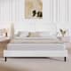 Option White