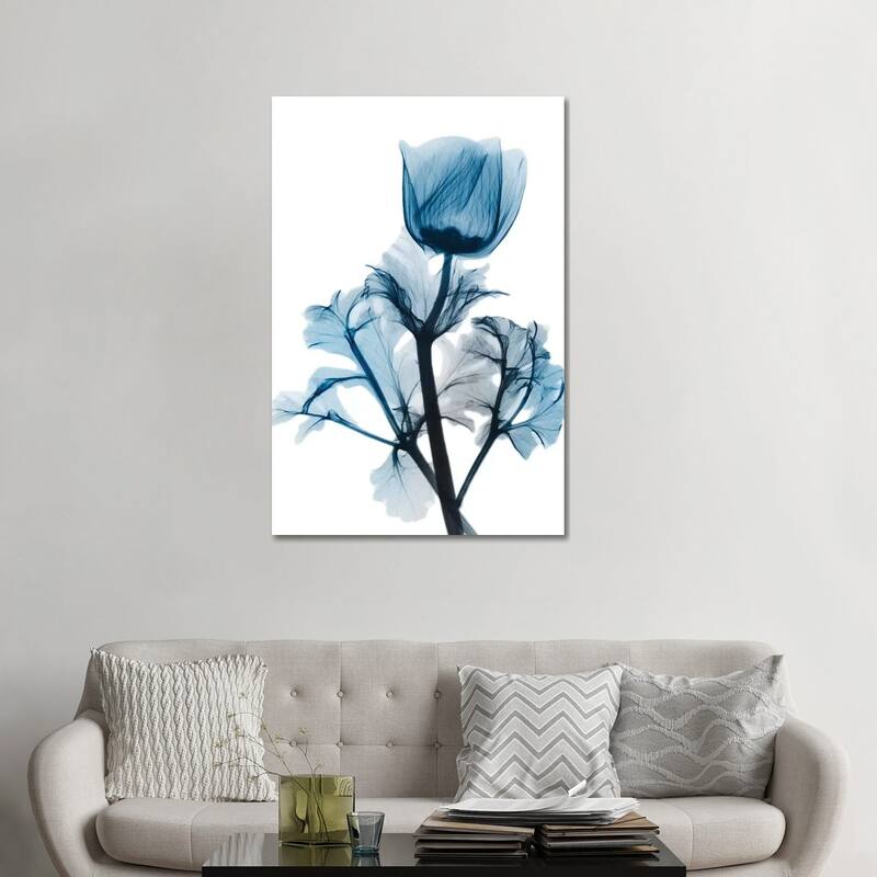 iCanvas "Sapphire Gleam I" by Albert Koetsier Canvas Print - 48x32x1.5