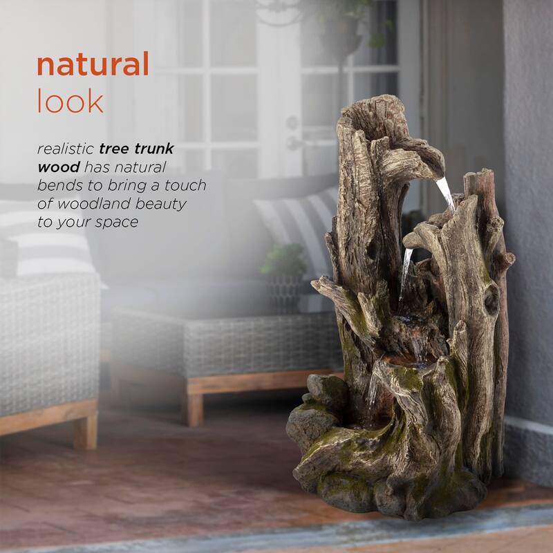 Curved Log Rainforest w/ LED light