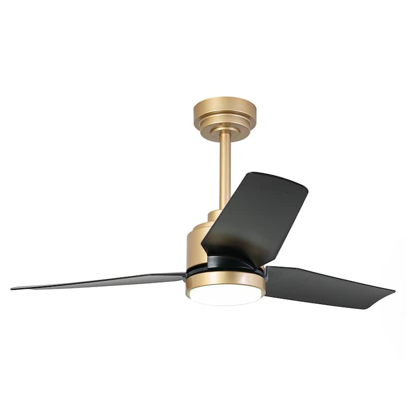 42" 3-Blade Modern Black & Gold Ceiling Fan with LED Light