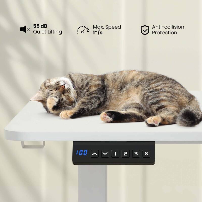 Costway 55" x 24" Electric Standing Desk with 3 Memory Height Settings