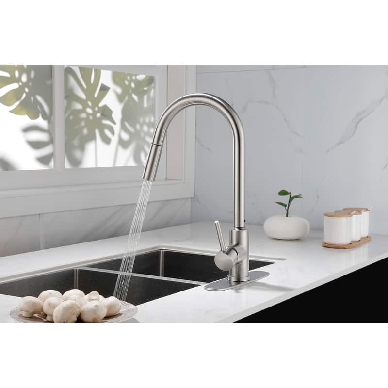 Kitchen Faucet with Pull Down Sprayer