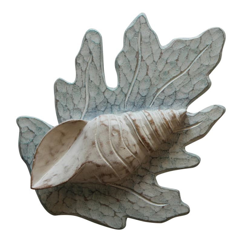 White Turban Shell on Aqua Reef Carved Wood Wall Plaque 11 Inches - White Aqua
