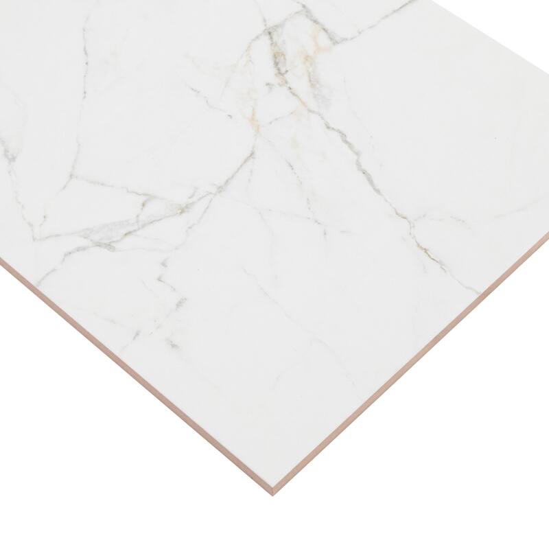 Ackland AKNPTLIN12X24G-CA Linea - 12" x 24" Ceramic Solid Floor and