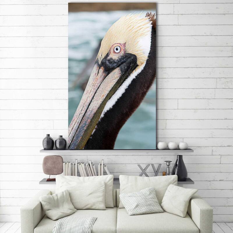 "Bayside Pelican" Print on Canvas