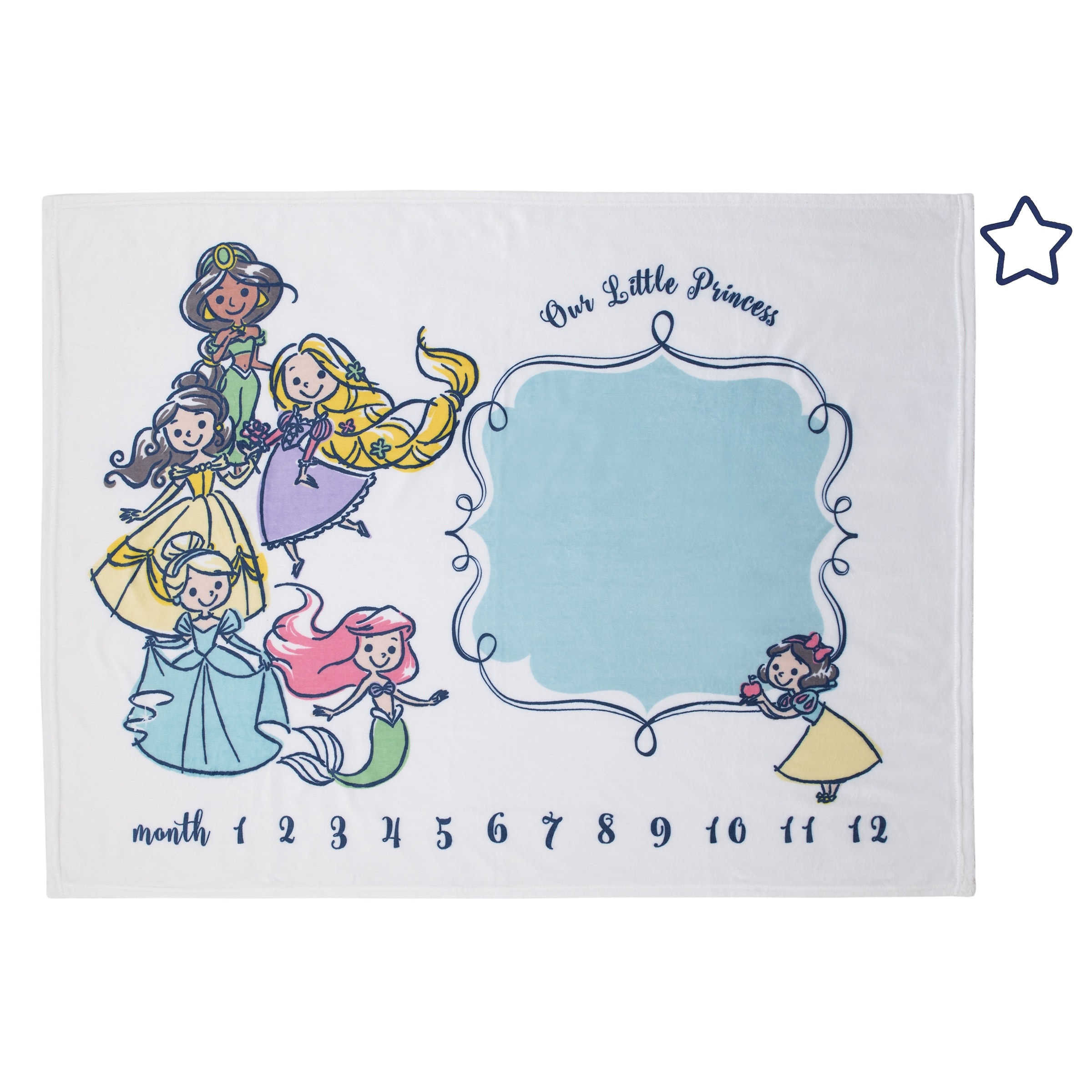 Disney milestone blanket online