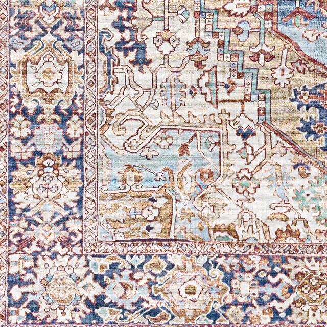 Adenia Vintage Medallion Printed Area Rug