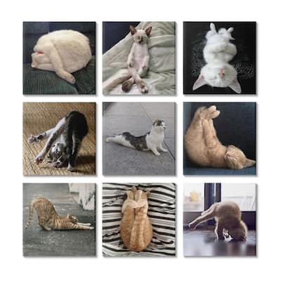 Stupell Cat Yoga Stretching Poses Animal Life Pet Humor 9 Piece Canvas Wall Art Set Design By R. Nob