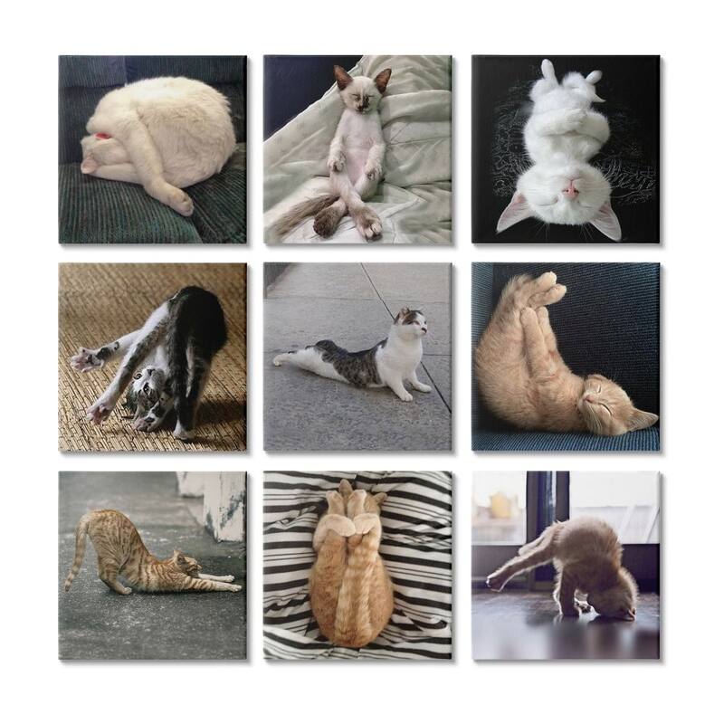Stupell Cat Yoga Stretching Poses Animal Life Pet Humor 9 Piece Canvas Wall Art Set Design By R. Nob - 12 x 12